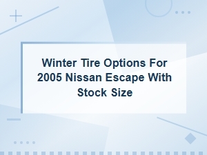 Best Winter Tire Options for 2005 Nissan Escape – Stock Size Brand Recommendations